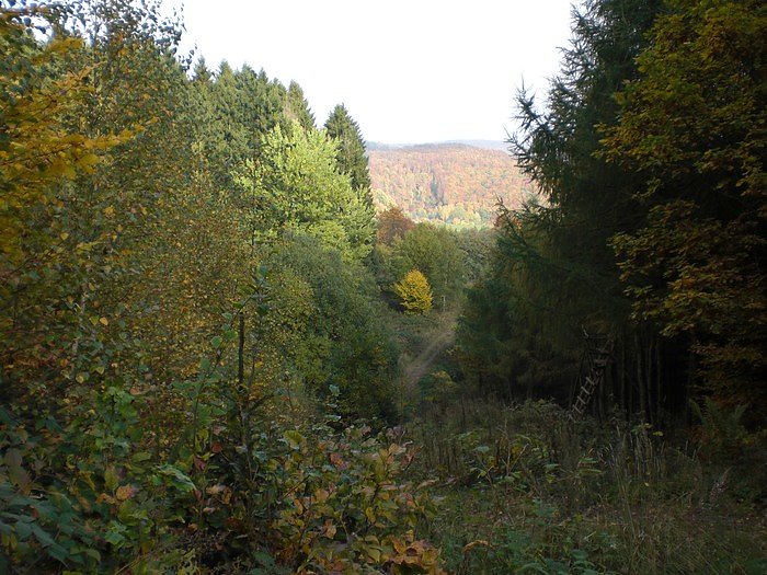 Unterwegs in S&uuml;lzhayn