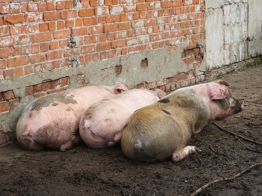 Erntedank in Benneckenstein