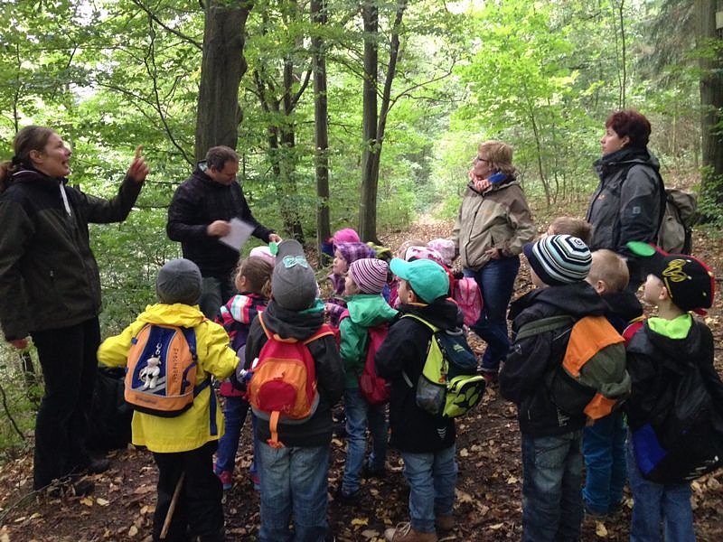 Im Wald was erleben und erfahren