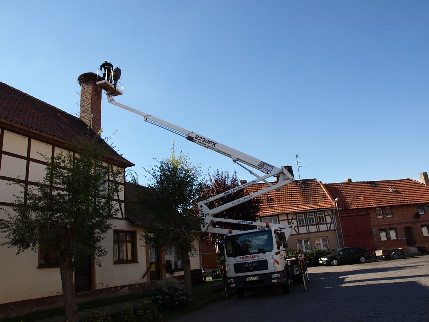 Nestputz in G&ouml;rsbach