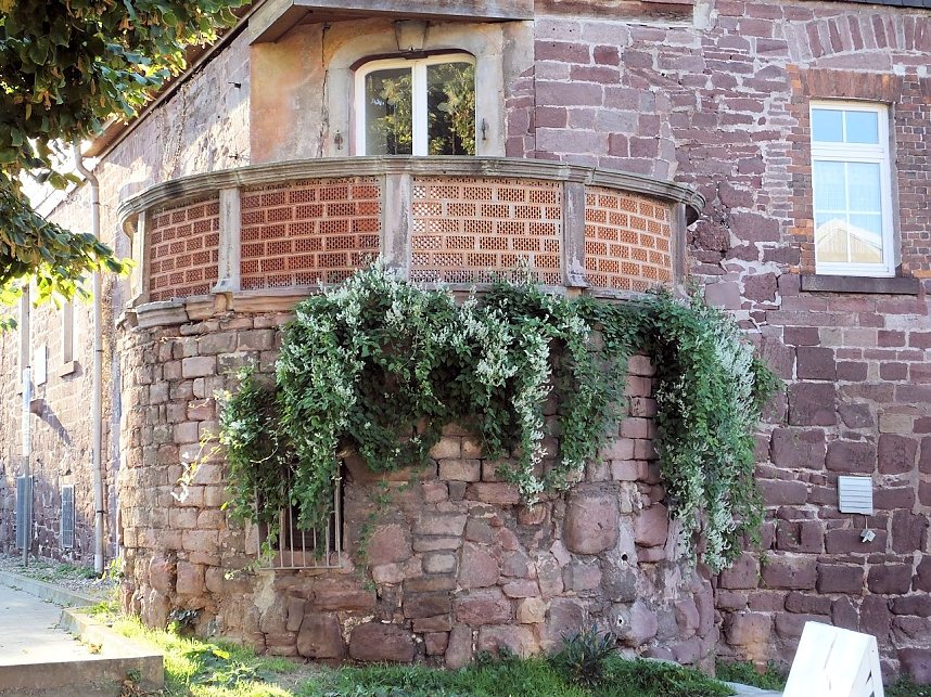 Unterwegs am Kyffh&auml;user