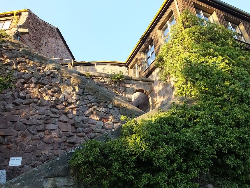 Unterwegs am Kyffh&auml;user