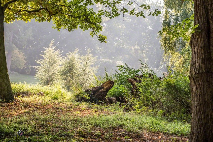 Herbst in Nordhausen