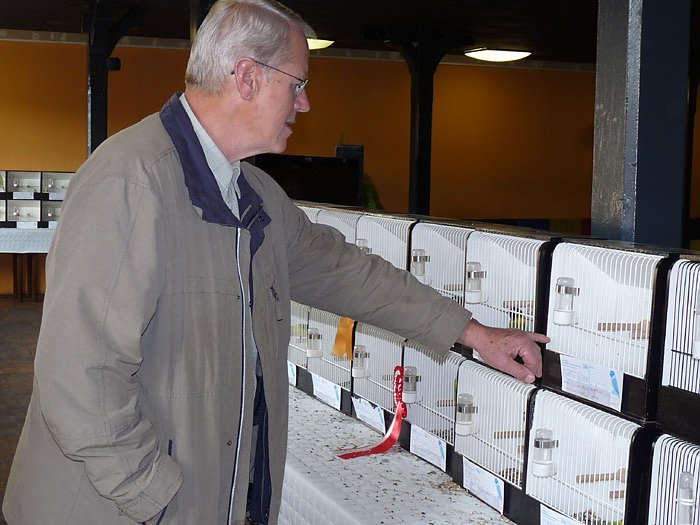 Ziergefl&uuml;gelausstellung