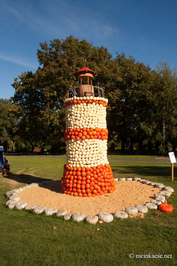 Auf der Ega entdeckt