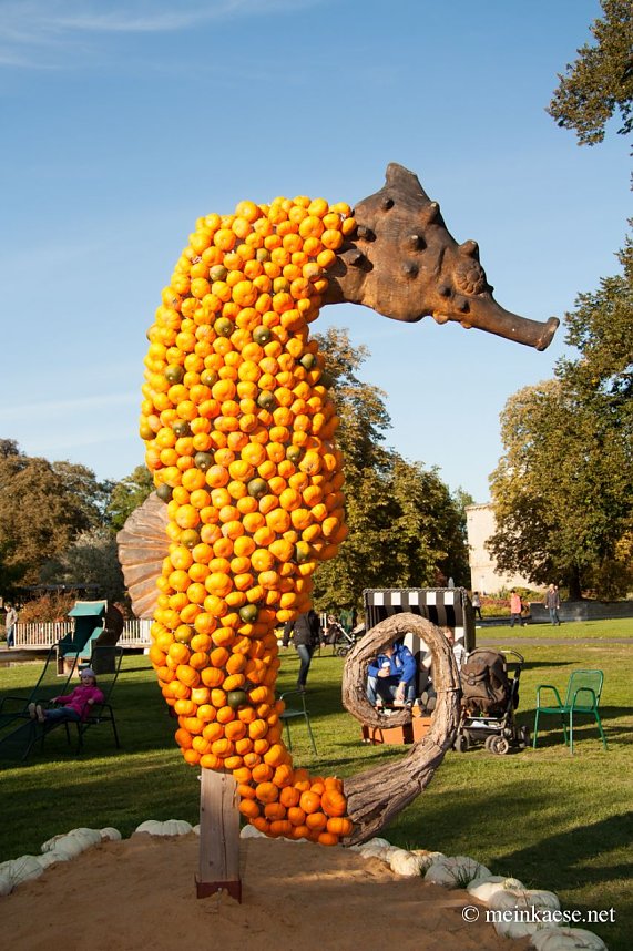 Auf der Ega entdeckt