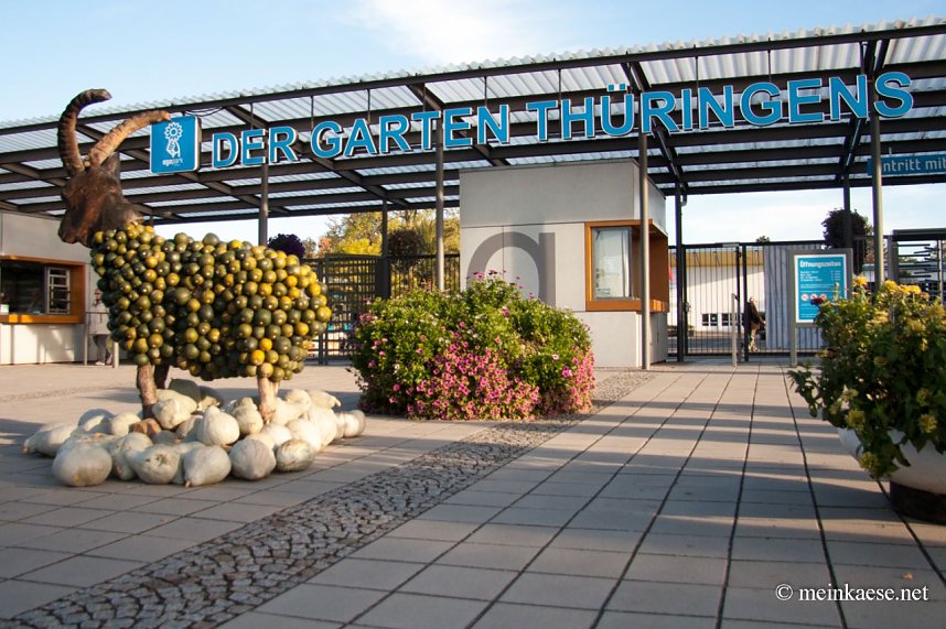 Auf der Ega entdeckt