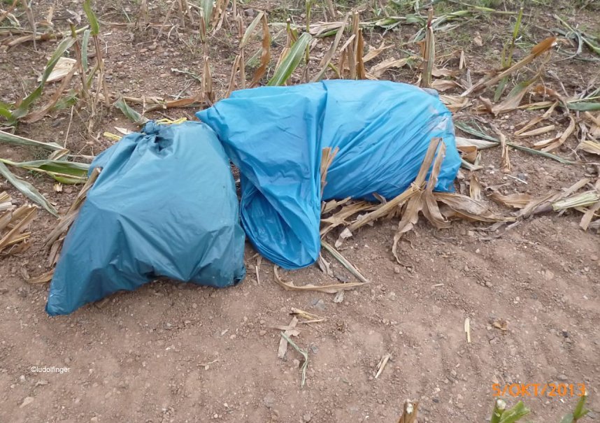 Nach der Ernte entdeckt