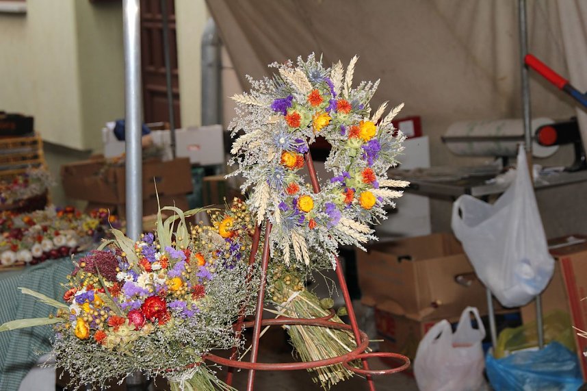 Zwiebelmarkt in Artern