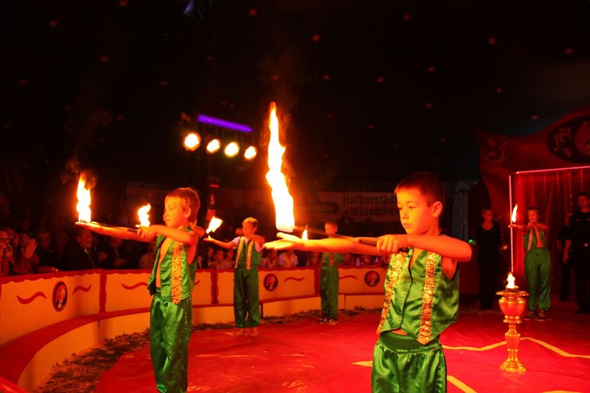 Tolle Zirkus-Show
