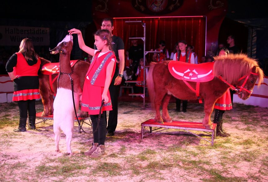 Tolle Zirkus-Show