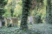 Unterwegs in Schlesien und Bautzen