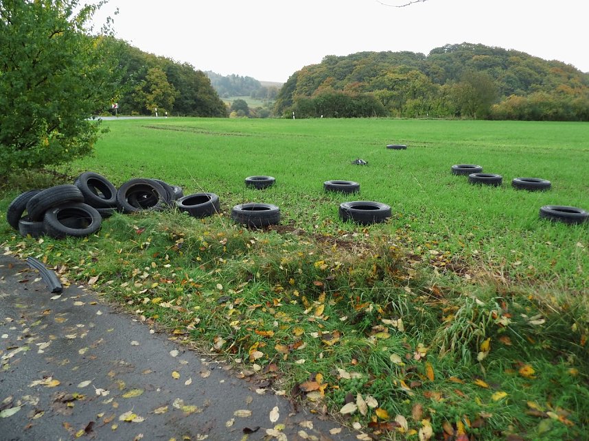 Umweltskandal bei Neustadt