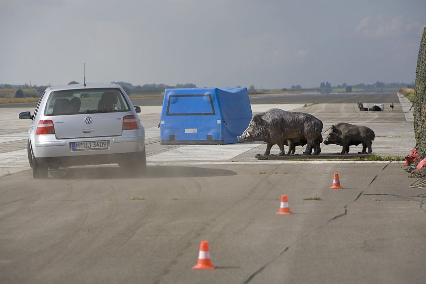 Wildunf&auml;lle reduzieren
