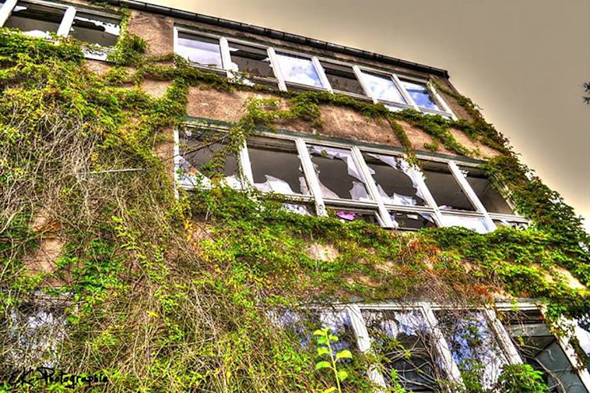 Etwas Kunst zur Schule