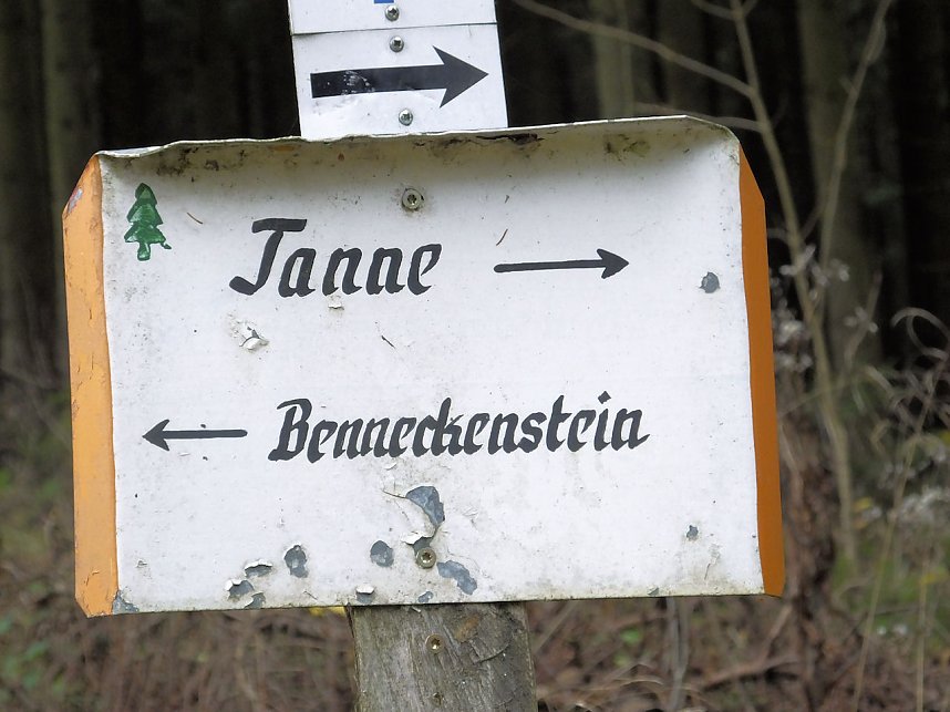Von Benneckenstein nach Tanne