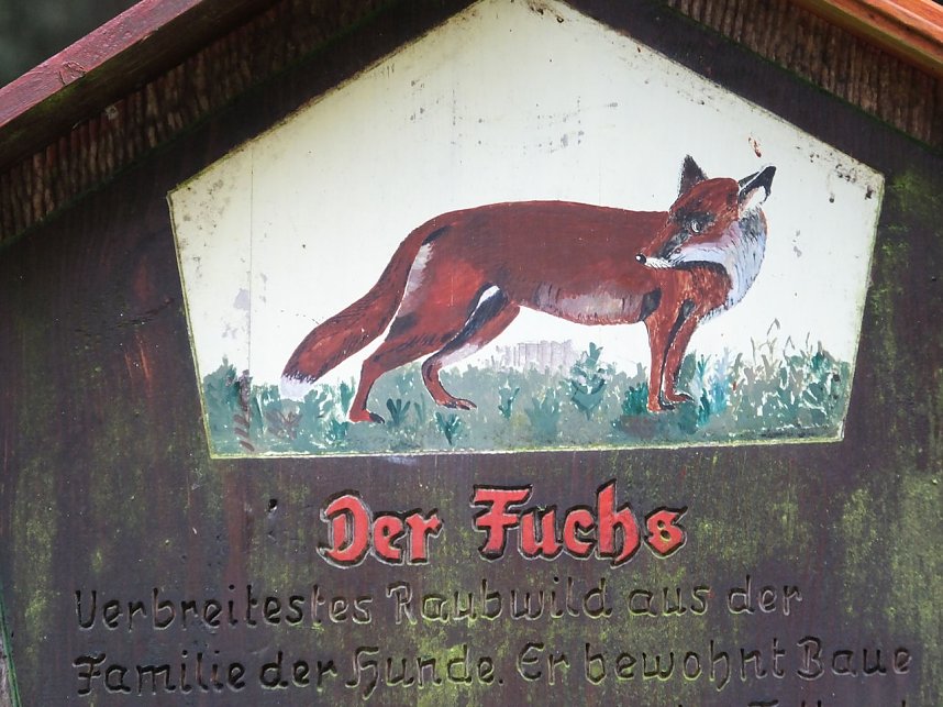 Von Benneckenstein nach Tanne