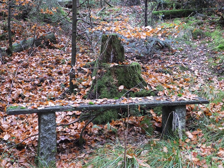 Von Benneckenstein nach Tanne