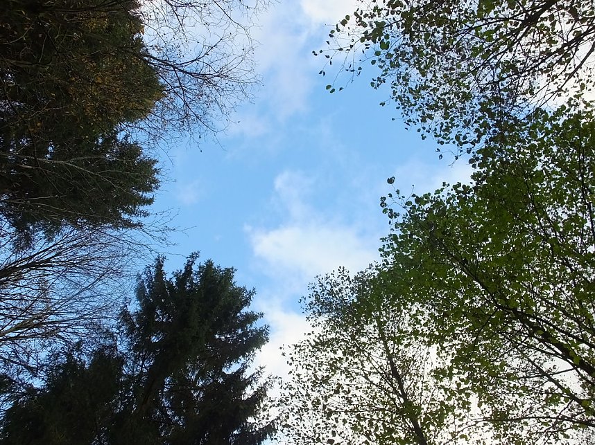 Von Benneckenstein nach Tanne