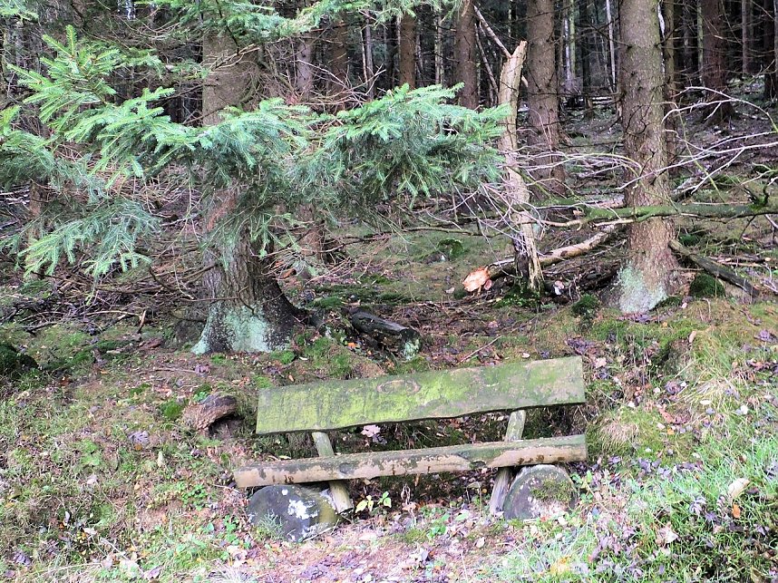 Von Benneckenstein nach Tanne