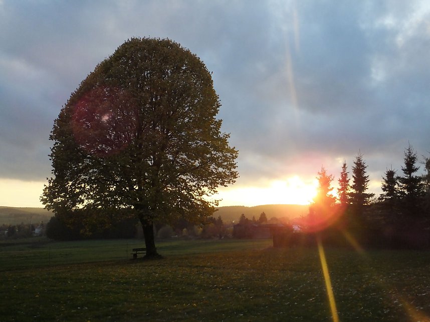 Von Benneckenstein nach Tanne