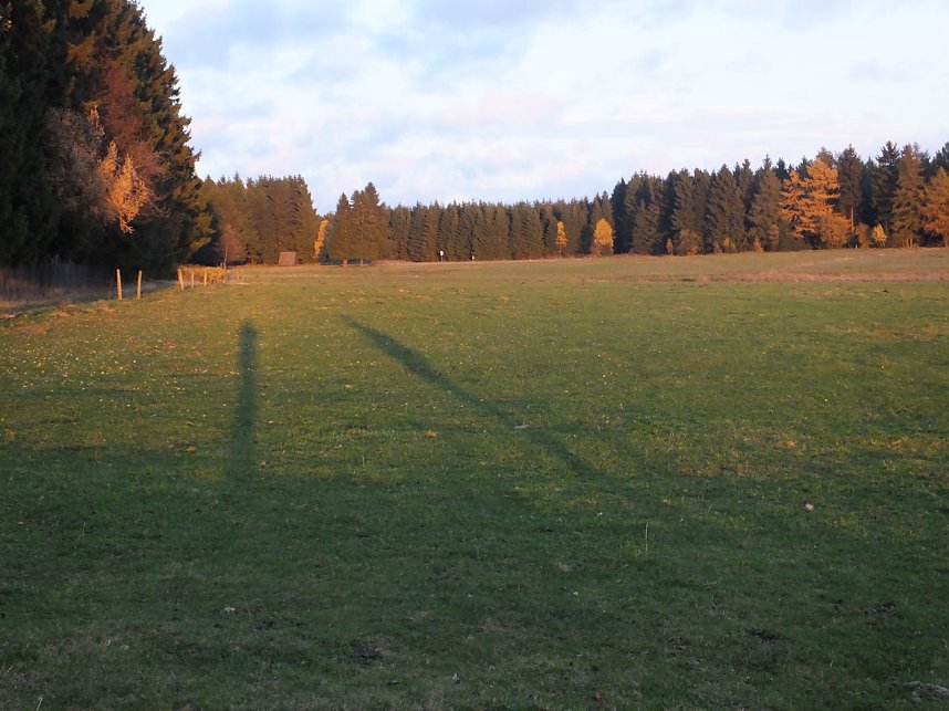 Von Benneckenstein nach Tanne