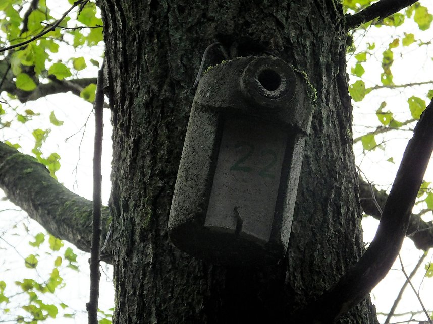 Von Benneckenstein nach Tanne