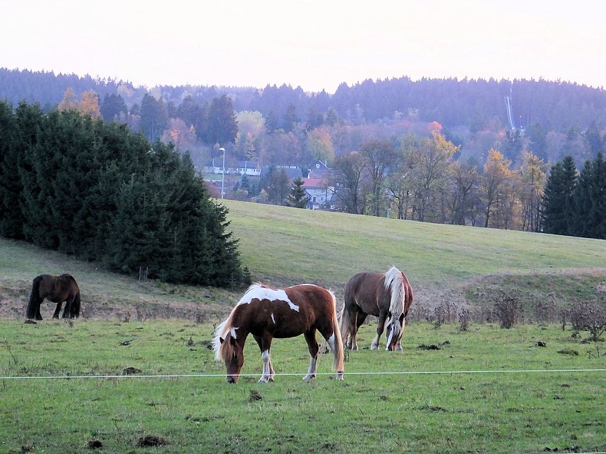 Von Benneckenstein nach Tanne