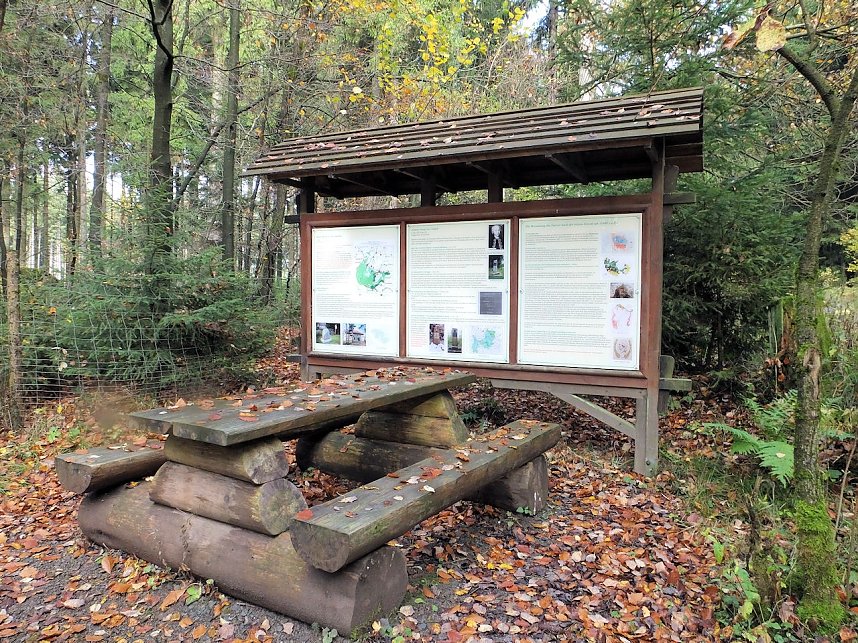 Von Benneckenstein nach Tanne
