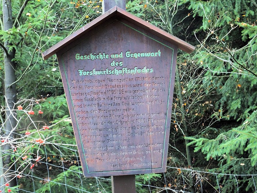 Von Benneckenstein nach Tanne