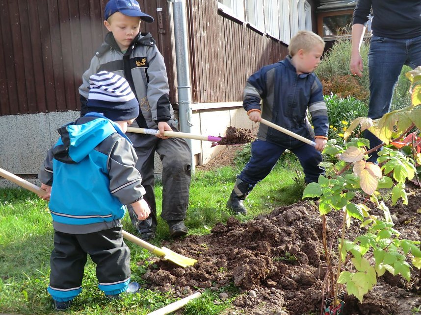 Kleine Entdecker am Werk