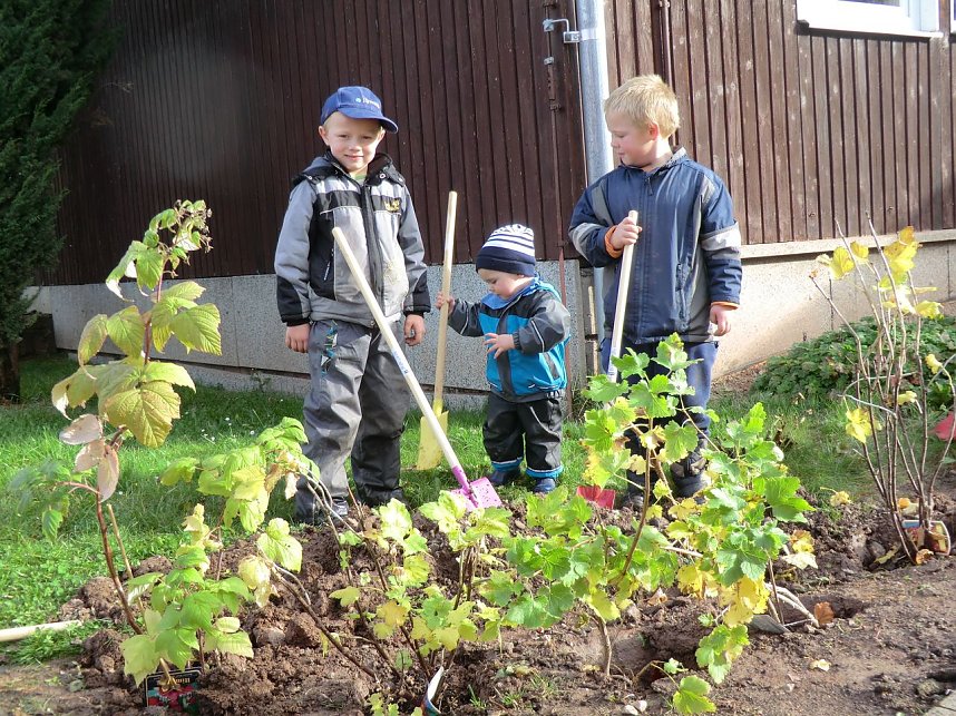 Kleine Entdecker am Werk