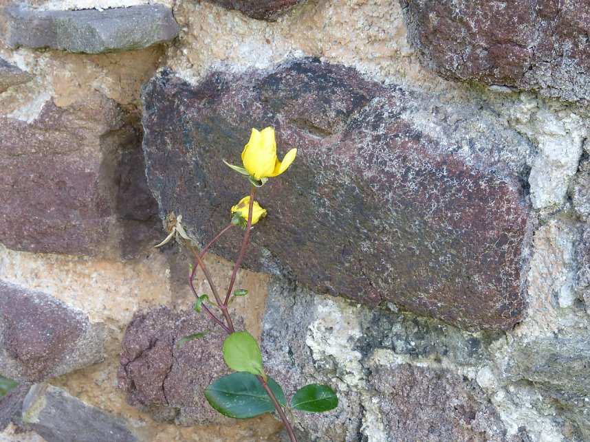 Wanderung zur Ebersburg