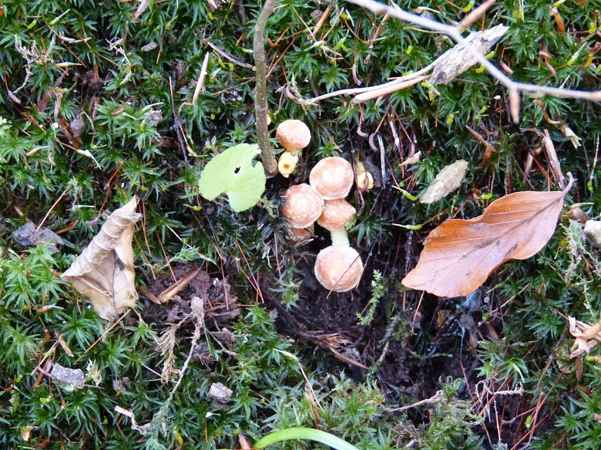 Wanderung zur Ebersburg