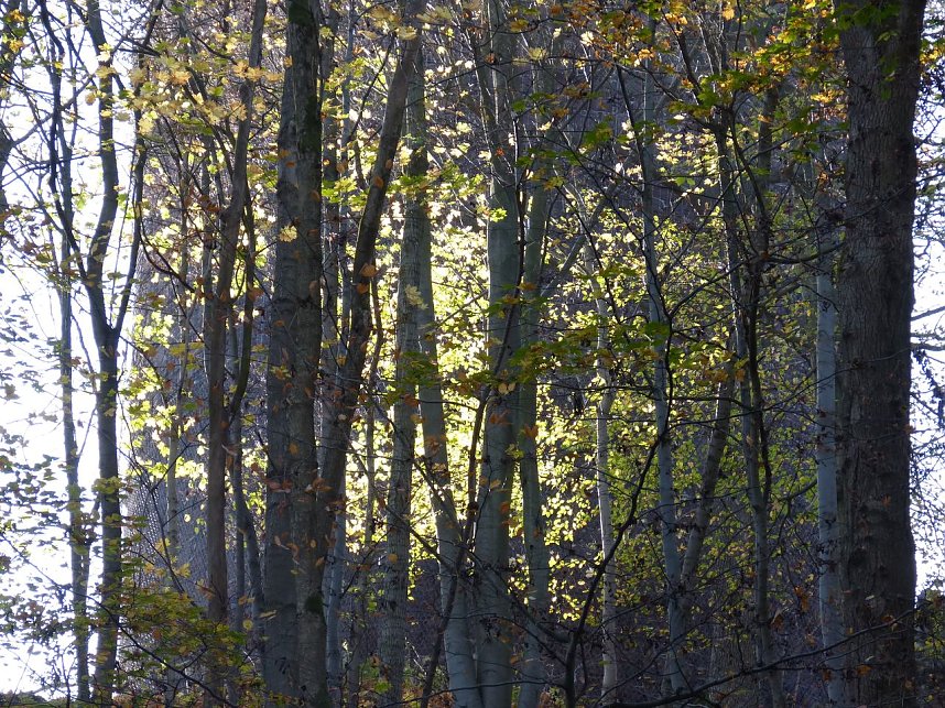 Wanderung zur Ebersburg