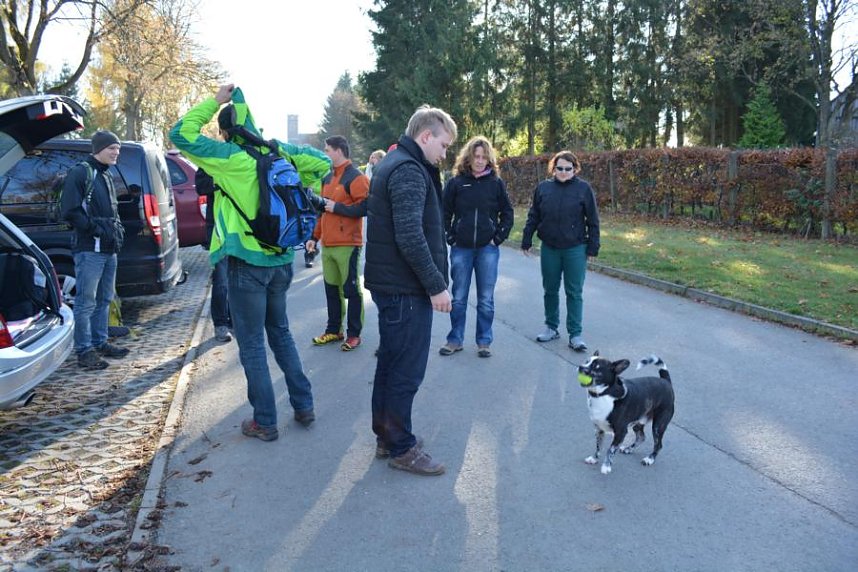 Doppelk&ouml;rner auf Wanderschaft