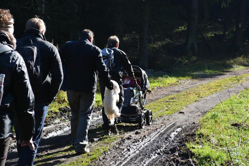 Doppelk&ouml;rner auf Wanderschaft