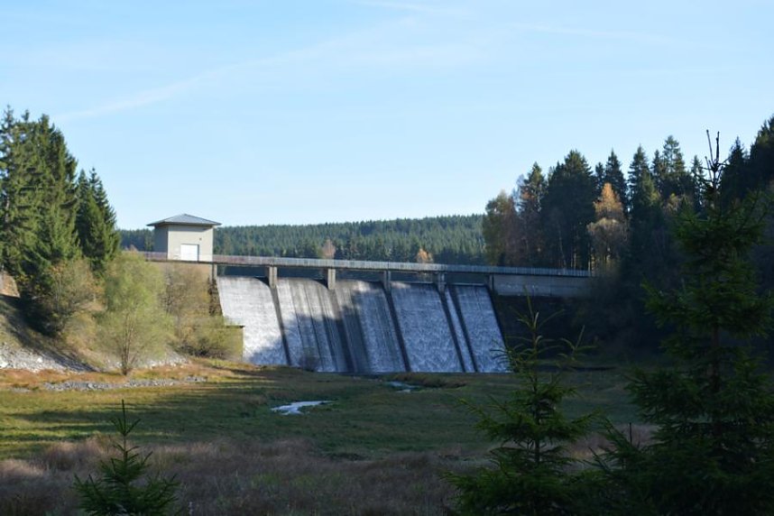 Doppelk&ouml;rner auf Wanderschaft