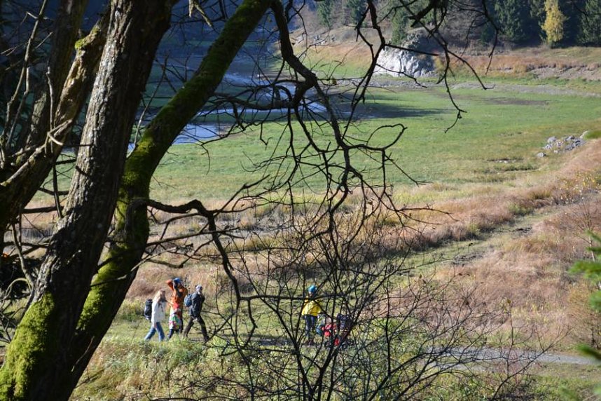 Doppelk&ouml;rner auf Wanderschaft
