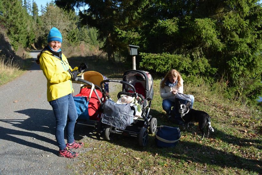 Doppelk&ouml;rner auf Wanderschaft