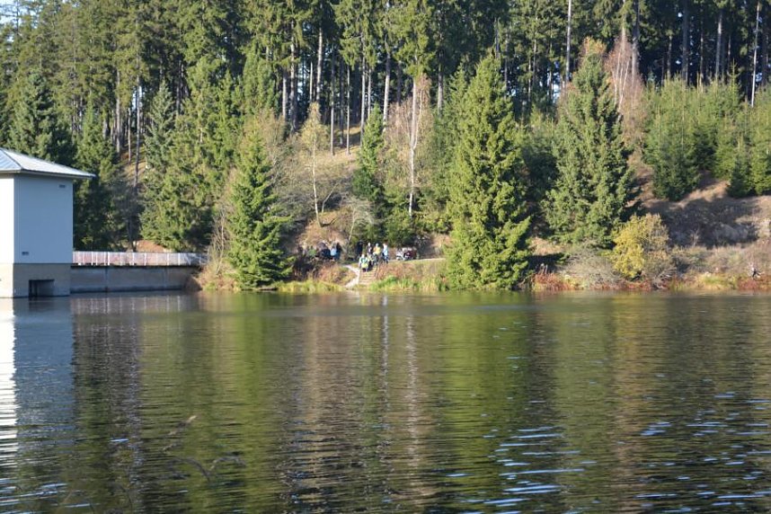 Doppelk&ouml;rner auf Wanderschaft