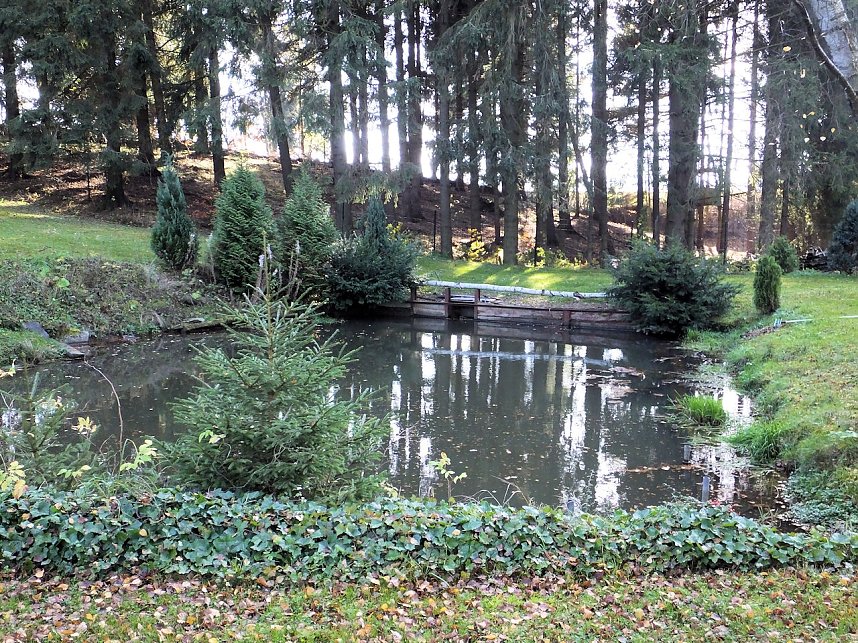Bauernmarkt in Benneckenstein