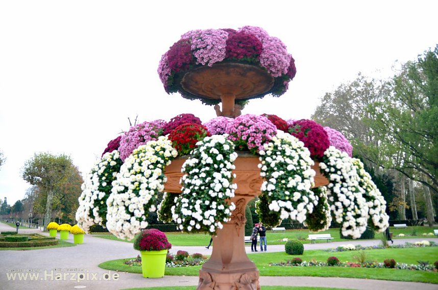 der City Scout in Stra&szlig;bourg