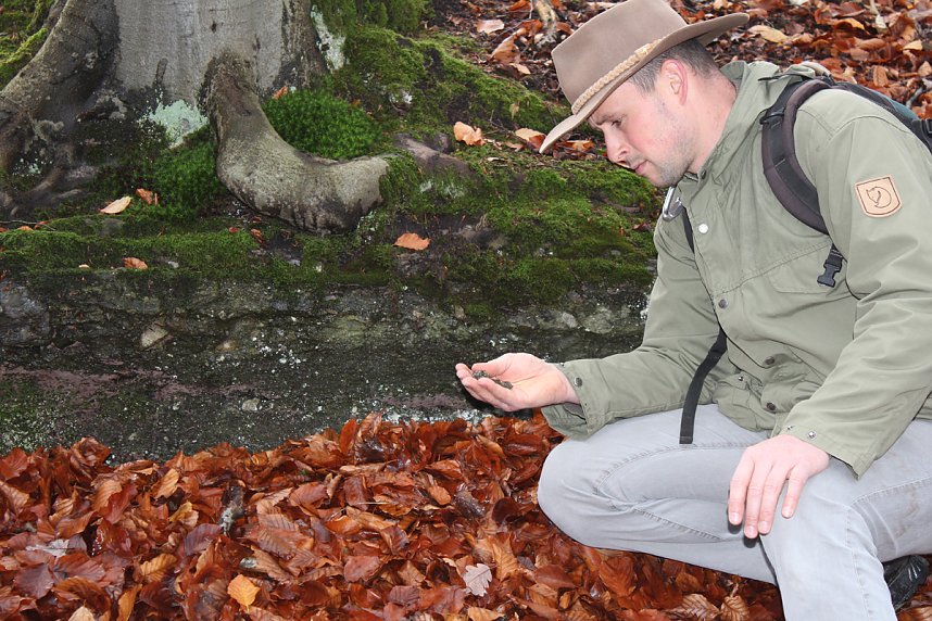 Landschaftsf&uuml;hrer bilden sich weiter