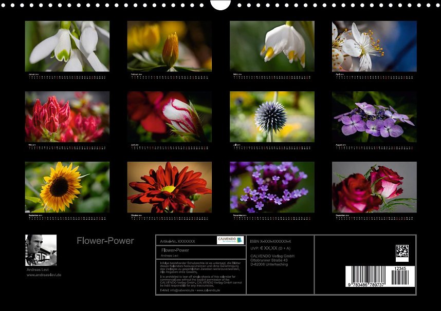 Den Harz nach Hause holen