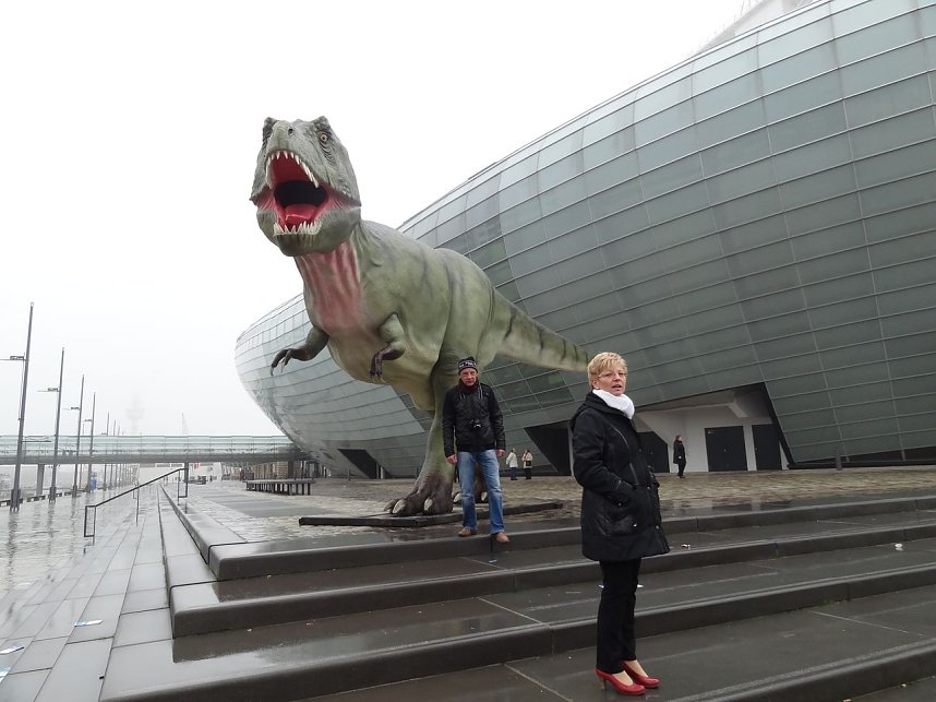 Von Rolandstadt zu Rolandstadt