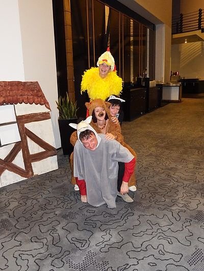 Von Rolandstadt zu Rolandstadt