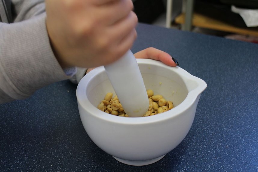 Kochen international auf dem Petersberg