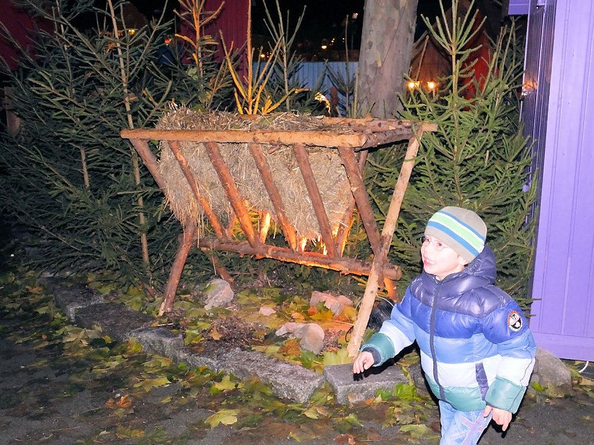 Besuch des Erfurter Weihnachtsmarktes