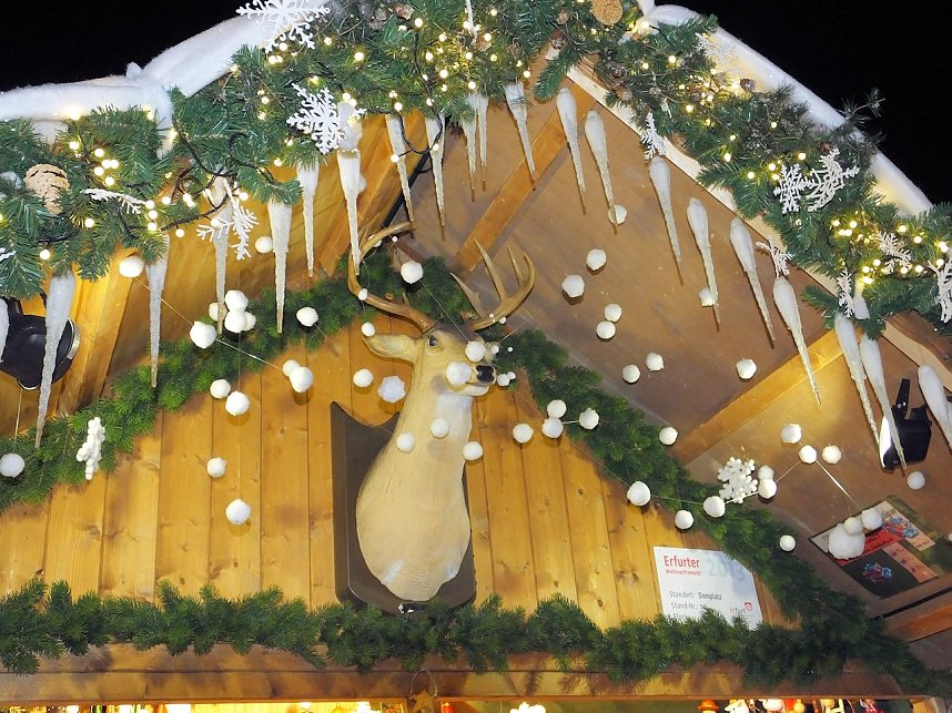 Besuch des Erfurter Weihnachtsmarktes